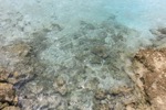 resIMG_20180613_105802_9904.JPG